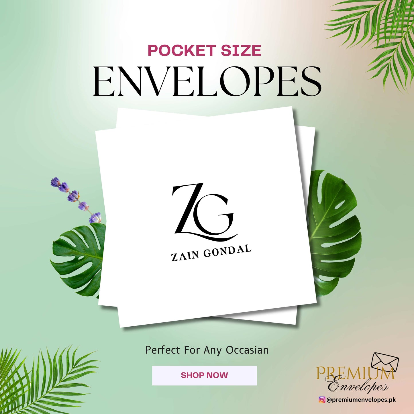 Premium Pocket Size Cash Envelopes Article 023