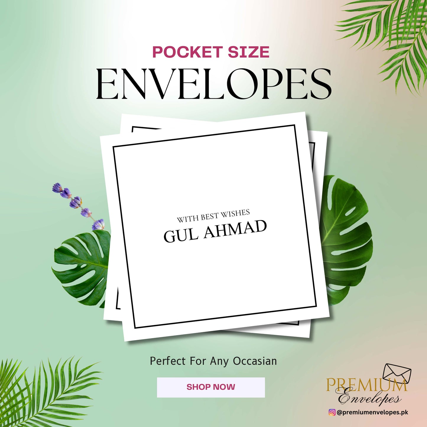 Premium Pocket Size Cash Envelopes Article 005