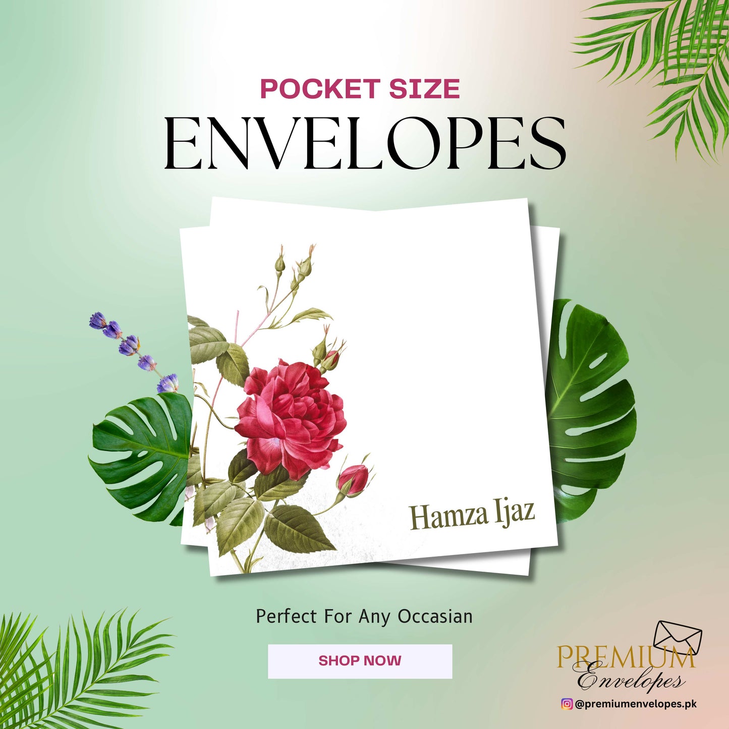 Premium Pocket Size Cash Envelopes Article 016