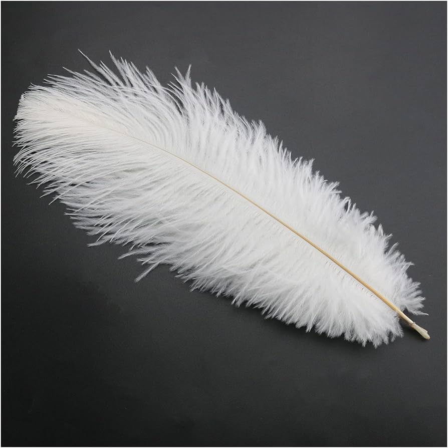 Natural Ostrich Feathers