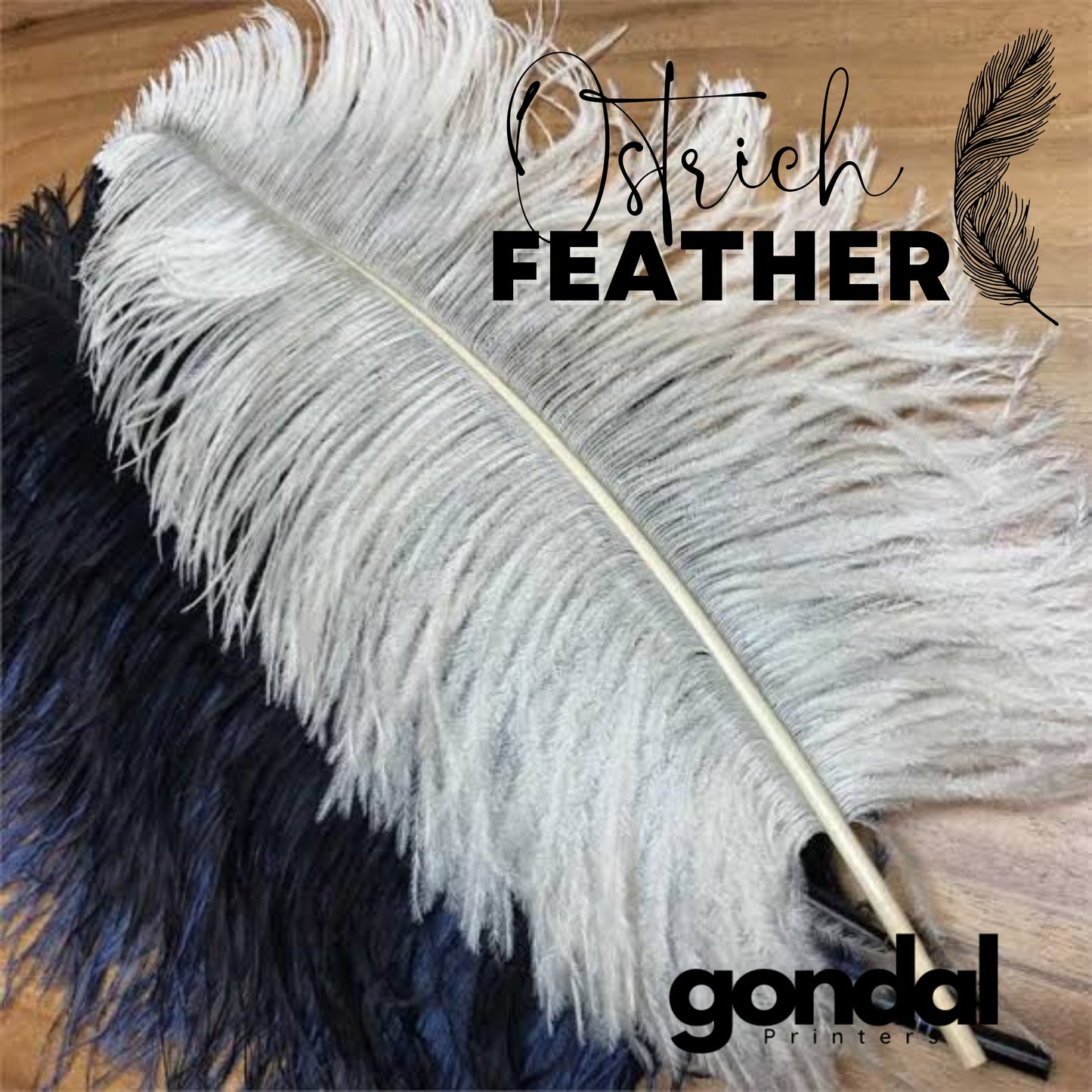 Natural Ostrich Feathers