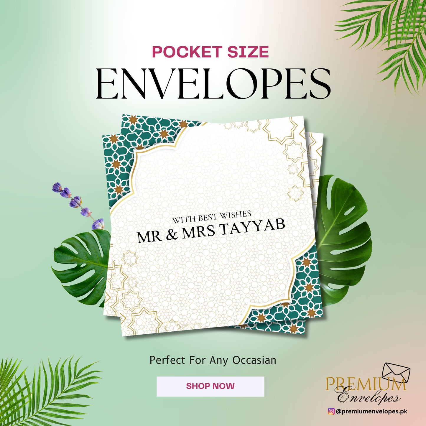 Premium Pocket Size Cash Envelopes Article 009